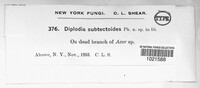 Image Associated With the Occurence